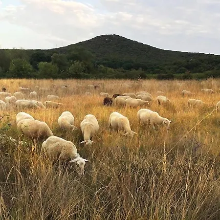 Champdelaplume 3* 바르작