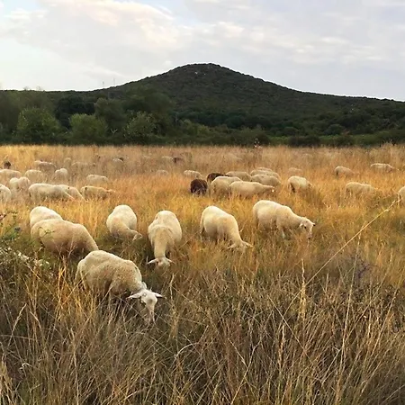 Champdelaplume * Barjac (Gard)