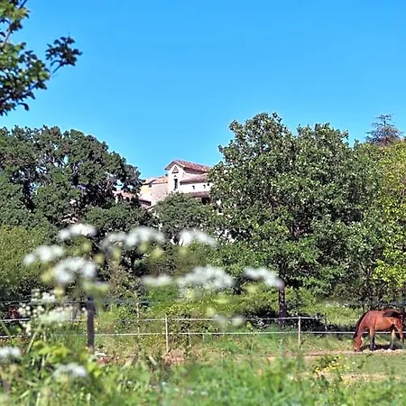 Bed and breakfast Champdelaplume Barjac (Gard)