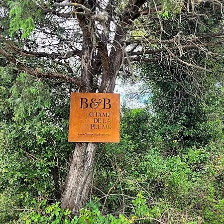 Champdelaplume Bed and breakfast Barjac (Gard)
